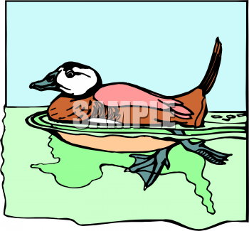 Duck Clipart