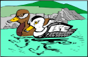 Duck Clipart