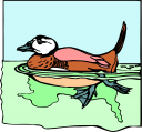 Duck Clipart