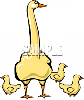 Duck Clipart