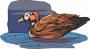 Duck Clipart