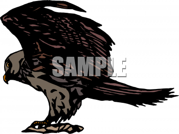 Eagle Clipart