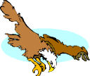 Eagle Clipart