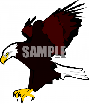 Eagle Clipart