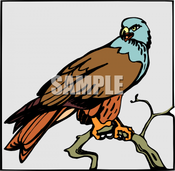 Eagle Clipart