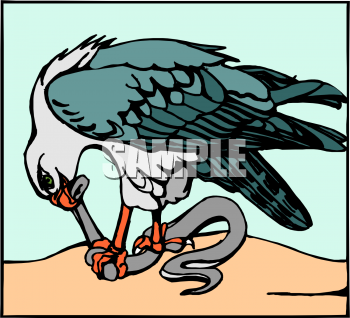 Eagle Clipart