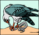 Eagle Clipart