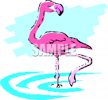 Flamingo Clipart