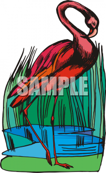 Flamingo Clipart