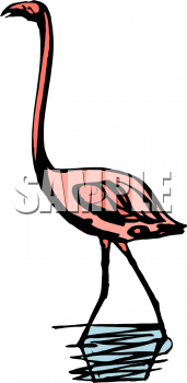 Flamingo Clipart