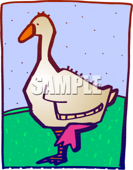 Duck Clipart