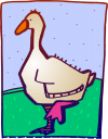 Duck Clipart