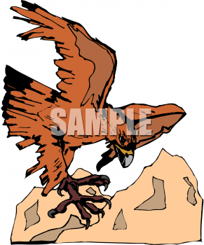 Eagle Clipart