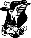 Eagle Clipart