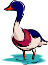 Duck Clipart