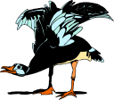 Duck Clipart