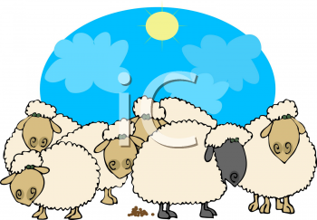 Sheep Clipart