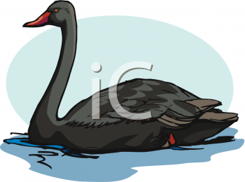 Swan Clipart