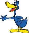 Duck Clipart