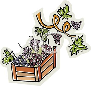 Grape Clipart