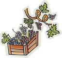 Grape Clipart