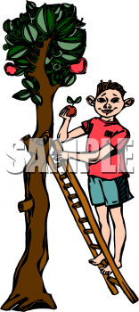 Apple Clipart