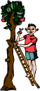 Apple Clipart