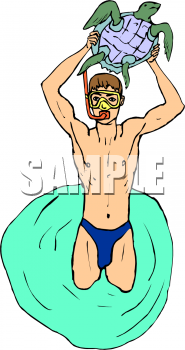 Turtle Clipart