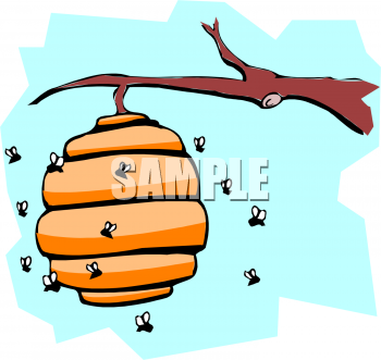 Bug Clipart