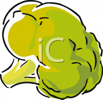 Broccoli Clipart