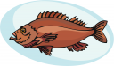 Fish Clipart