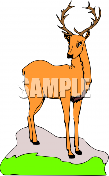 Caribou Clipart