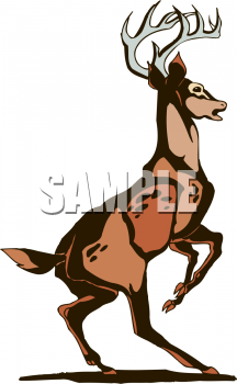 Elk Clipart