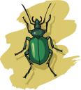 Bug Clipart