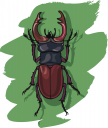 Bug Clipart