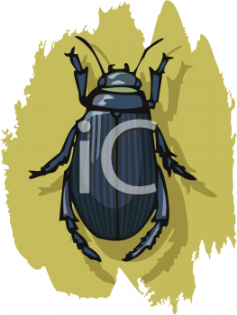 Bug Clipart