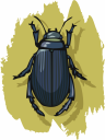 Bug Clipart