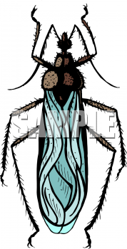 Bug Clipart