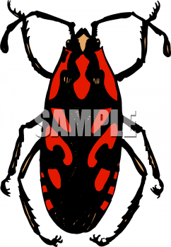 Bug Clipart