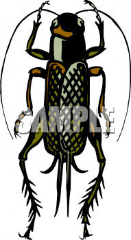 Bug Clipart