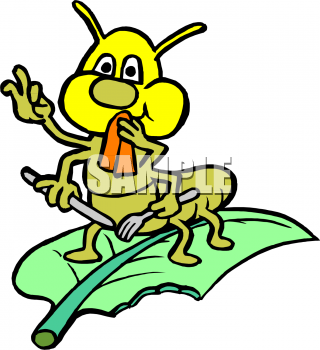 Bug Clipart