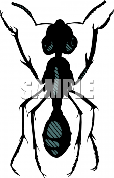 Bug Clipart