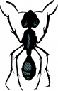 Bug Clipart