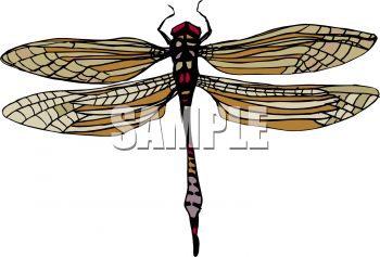 Bug Clipart