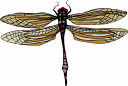 Bug Clipart