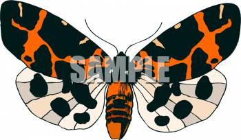 Bug Clipart