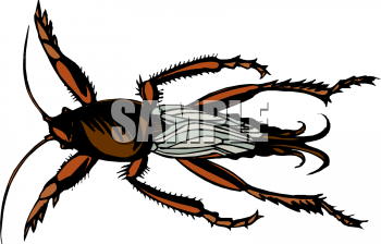 Bug Clipart