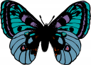 Bug Clipart