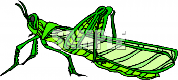 Bug Clipart