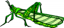 Bug Clipart